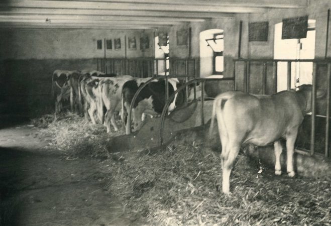OPT-Ricostruzione-dei-dipendenti-ospedali_04-659x450