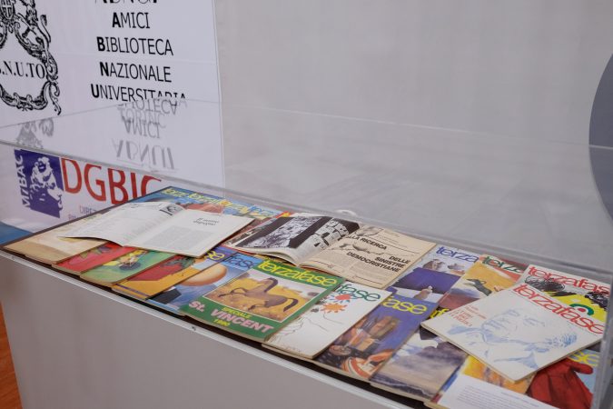 ALES1355-675x450