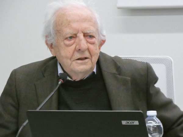 P1130438-600x450